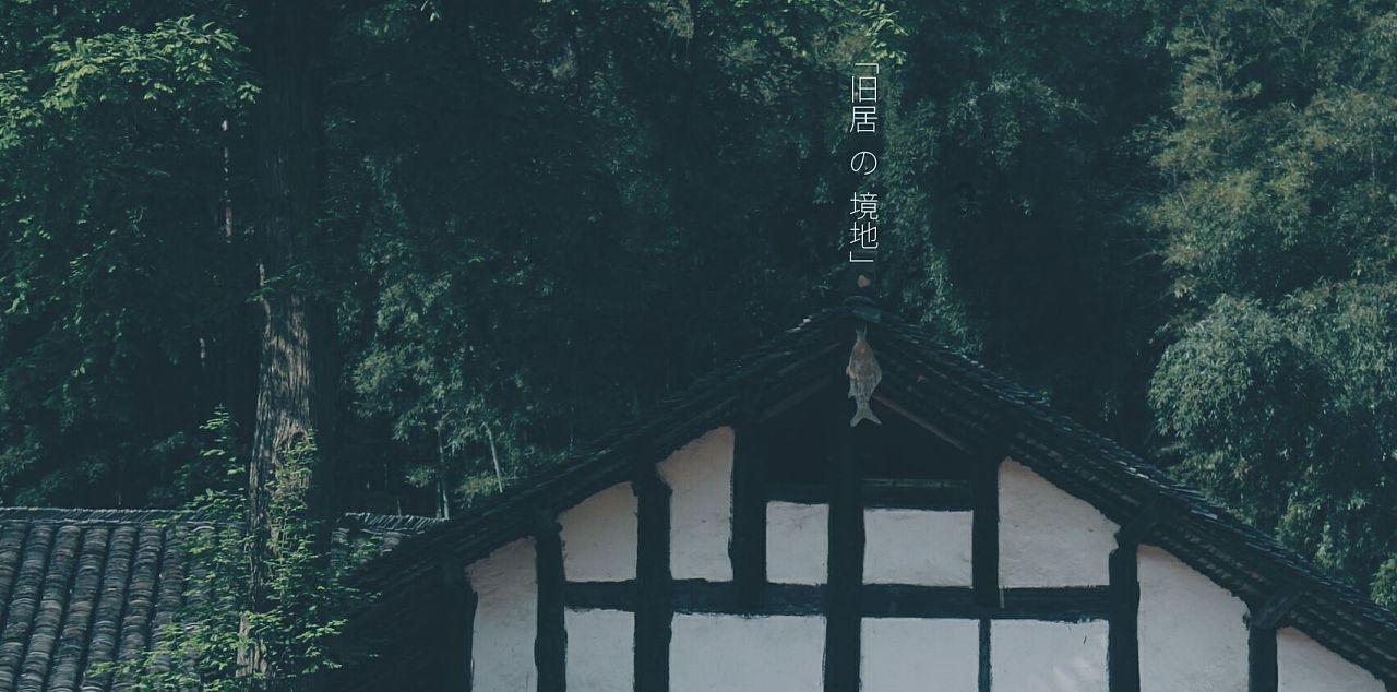 逗小猴开心系列205